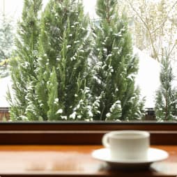 Чашка кави на підвіконні з видом на зимовий сад
