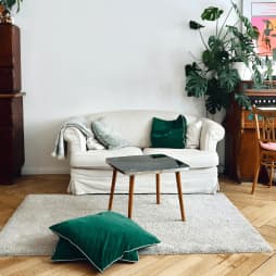 Інтер'єр номеру із диваном, килимом на полу та зеленими подушками